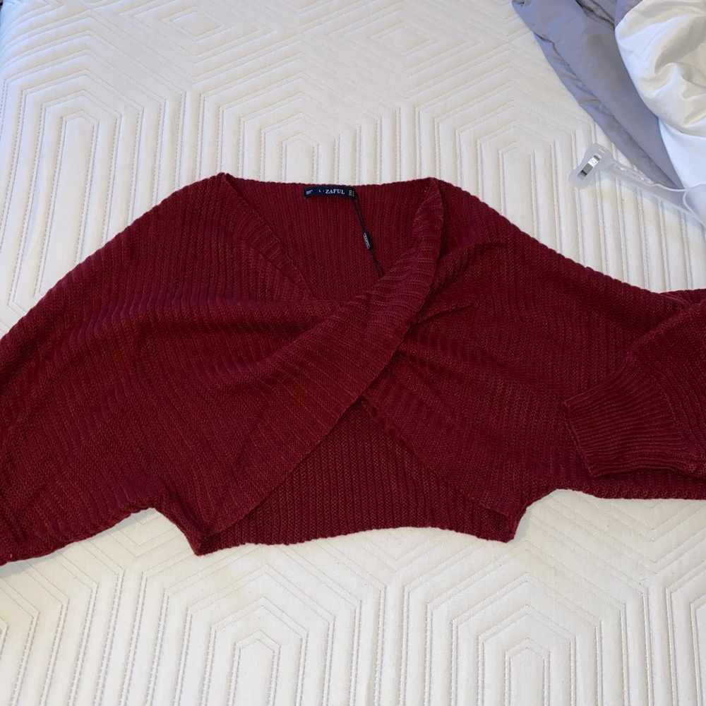 Cropped Red Sweater